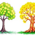 Term vs. whole life insurance: what suits your situation best